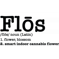 Flos Original Glue