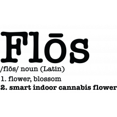 Flos Original Glue
